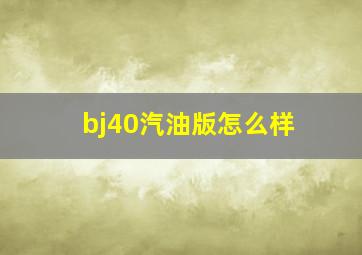 bj40汽油版怎么样