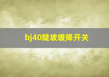 bj40陡坡缓降开关