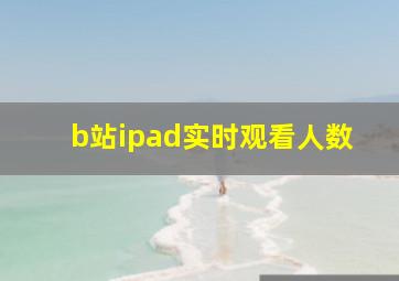 b站ipad实时观看人数