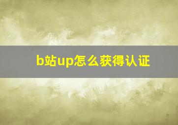 b站up怎么获得认证