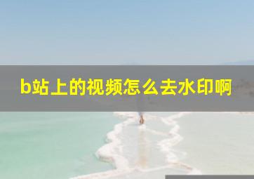 b站上的视频怎么去水印啊