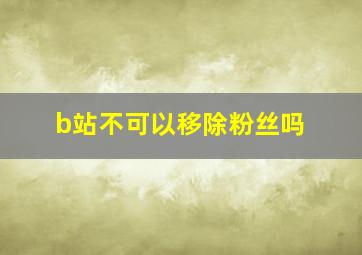 b站不可以移除粉丝吗