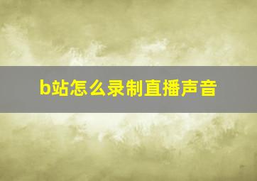 b站怎么录制直播声音