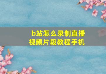 b站怎么录制直播视频片段教程手机