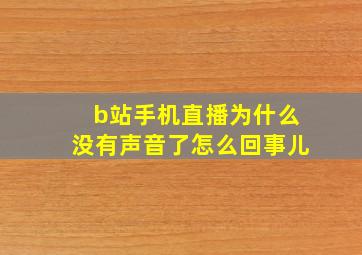 b站手机直播为什么没有声音了怎么回事儿