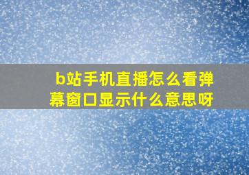 b站手机直播怎么看弹幕窗口显示什么意思呀