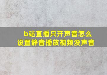 b站直播只开声音怎么设置静音播放视频没声音