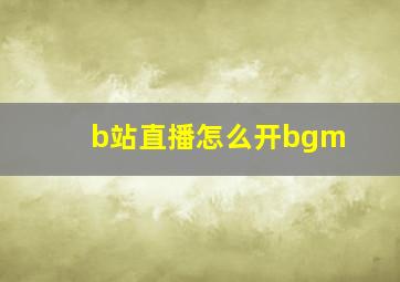 b站直播怎么开bgm