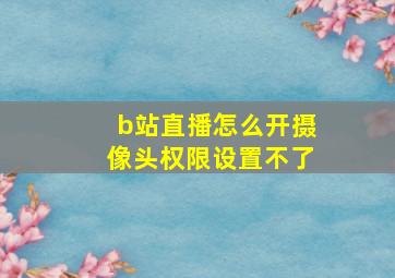 b站直播怎么开摄像头权限设置不了