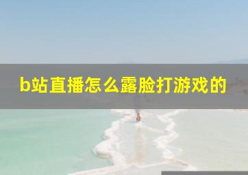 b站直播怎么露脸打游戏的