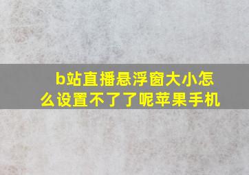 b站直播悬浮窗大小怎么设置不了了呢苹果手机