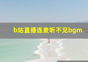 b站直播连麦听不见bgm