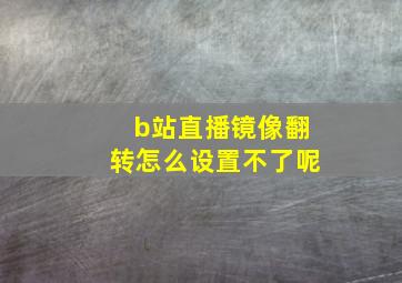 b站直播镜像翻转怎么设置不了呢