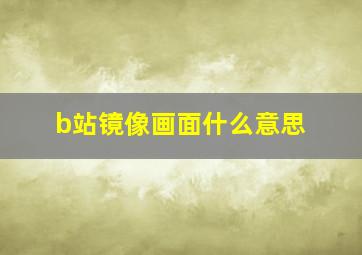 b站镜像画面什么意思