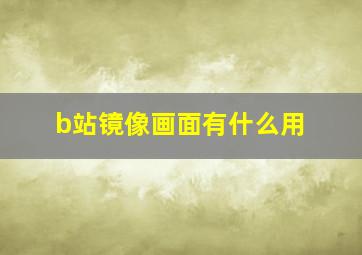 b站镜像画面有什么用