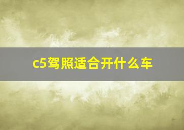 c5驾照适合开什么车