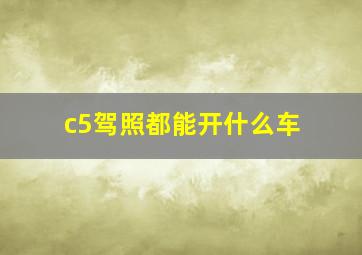 c5驾照都能开什么车