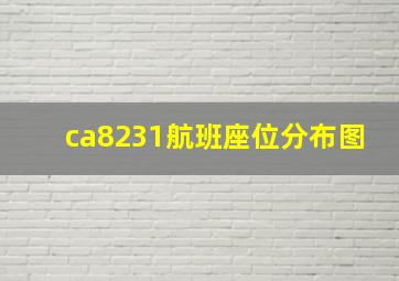 ca8231航班座位分布图