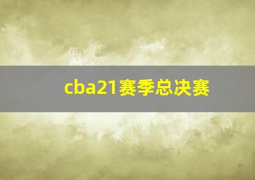 cba21赛季总决赛