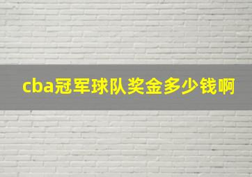 cba冠军球队奖金多少钱啊