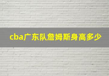 cba广东队詹姆斯身高多少