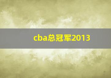 cba总冠军2013