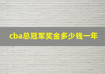 cba总冠军奖金多少钱一年