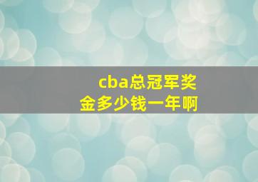 cba总冠军奖金多少钱一年啊