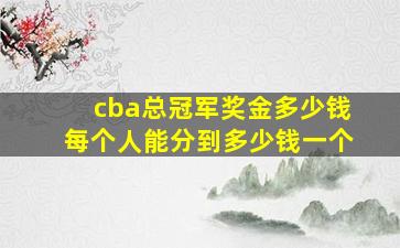 cba总冠军奖金多少钱每个人能分到多少钱一个