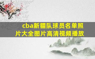 cba新疆队球员名单照片大全图片高清视频播放