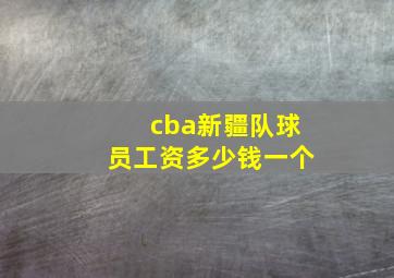 cba新疆队球员工资多少钱一个