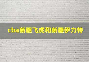 cba新疆飞虎和新疆伊力特