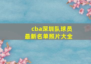 cba深圳队球员最新名单照片大全