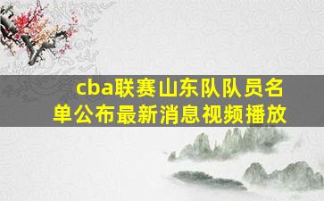 cba联赛山东队队员名单公布最新消息视频播放