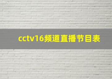 cctv16频道直播节目表