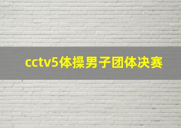 cctv5体操男子团体决赛