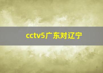 cctv5广东对辽宁