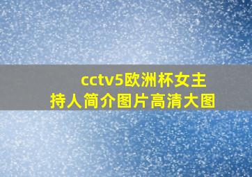 cctv5欧洲杯女主持人简介图片高清大图