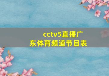 cctv5直播广东体育频道节目表