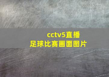 cctv5直播足球比赛画面图片