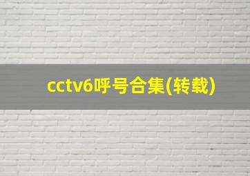 cctv6呼号合集(转载)