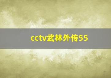 cctv武林外传55