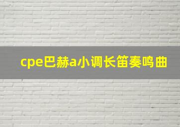 cpe巴赫a小调长笛奏鸣曲