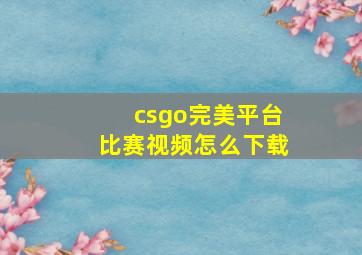 csgo完美平台比赛视频怎么下载