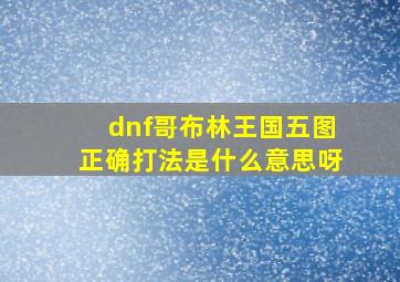 dnf哥布林王国五图正确打法是什么意思呀