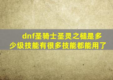 dnf圣骑士圣灵之槌是多少级技能有很多技能都能用了