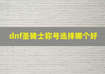 dnf圣骑士称号选择哪个好