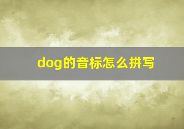 dog的音标怎么拼写