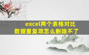 excel两个表格对比数据重复项怎么删除不了