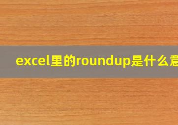 excel里的roundup是什么意思